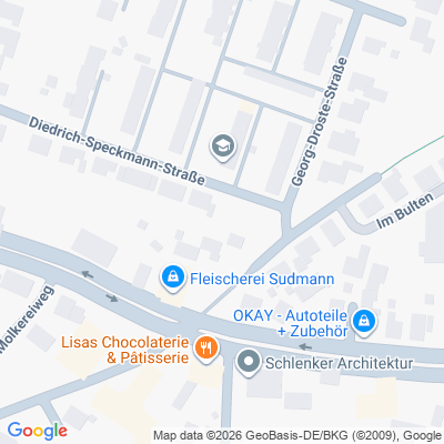 Google maps preview image