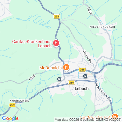 Google maps preview image