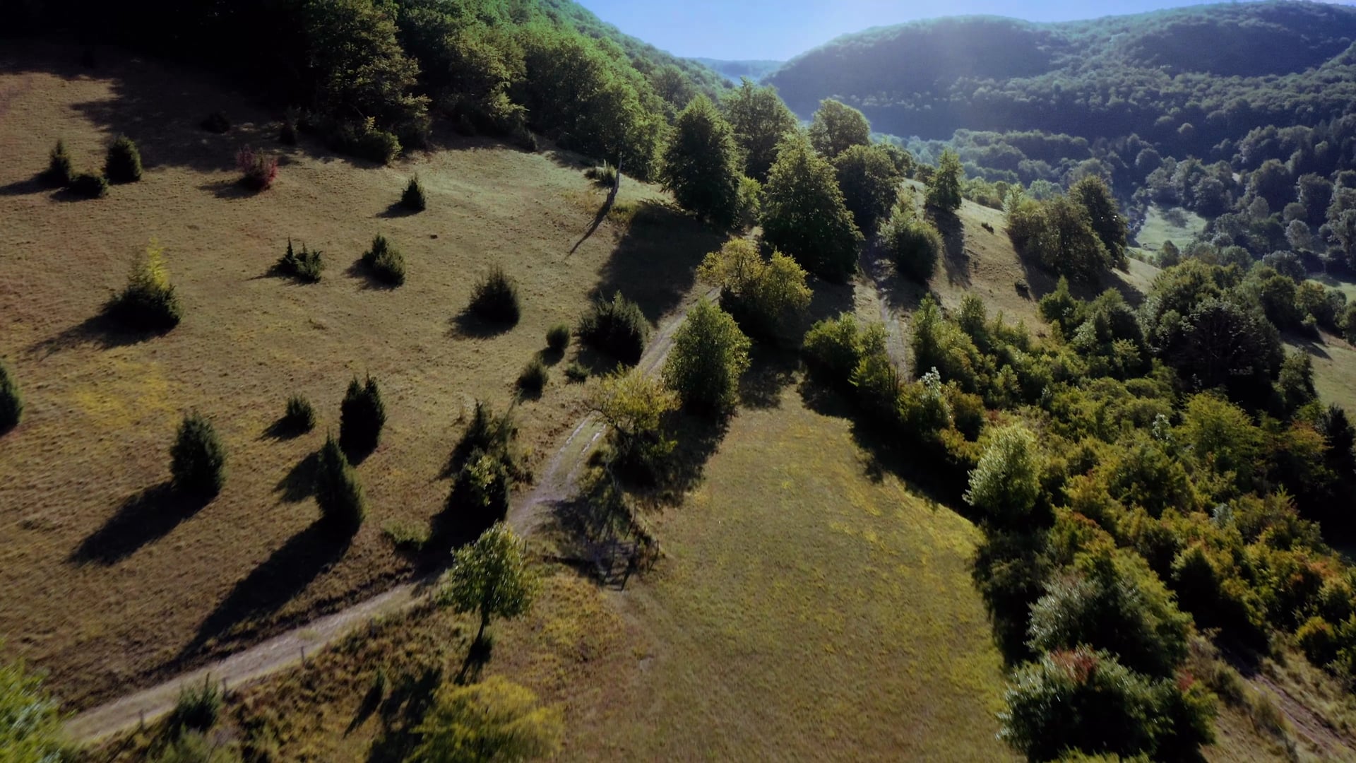 Vimeo video preview image
