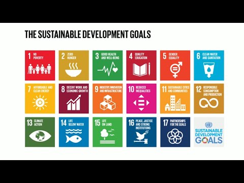 Sdg Agenda 30 The Most Important Issues