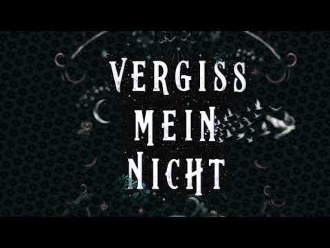 Kerstin Gier Vergissmeinnicht - Was man bei Licht nicht sehen kann 