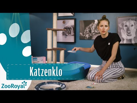 Katze frisst Katzenstreu - Ursachen, Tipps und Hilfe