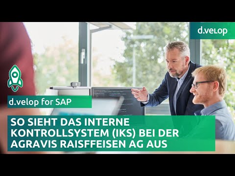 Indirekte Kontrollimperialisme Internes Kontrollsystem (IKS) PwC