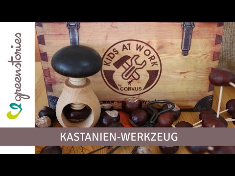 Yolispa Kastanien/öffner Kastanienschneider Multifunktionale Nussknacker-Walnusszange aus Edelstahl