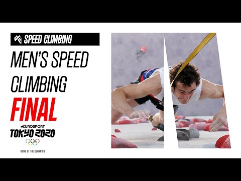 Gines Lopez Garnbret Honnold The Ten Strongest Climbers In The World