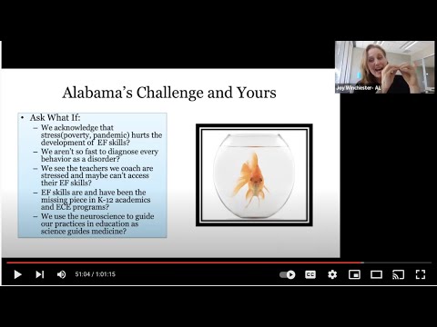 Executive Function Resources - Reflection Sciences