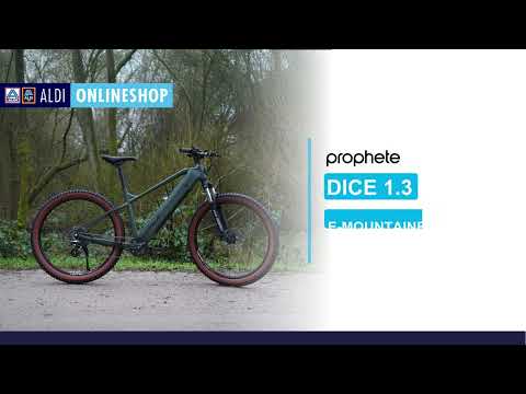 E-Mountainbike Dice 1.3