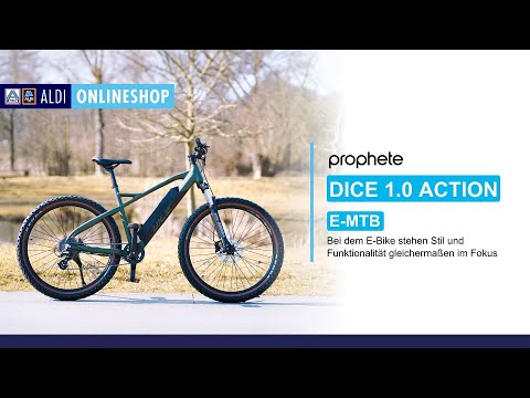 E-Mountainbike Dice 1.0 Action