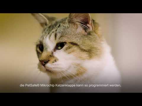 Mikrochip-Katzenklappe