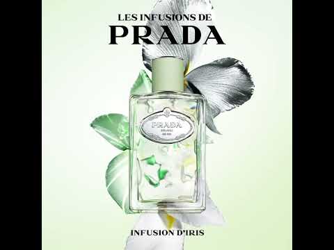 Infusion d'Iris Eau de Parfum ✔️ GRADMANN 1864