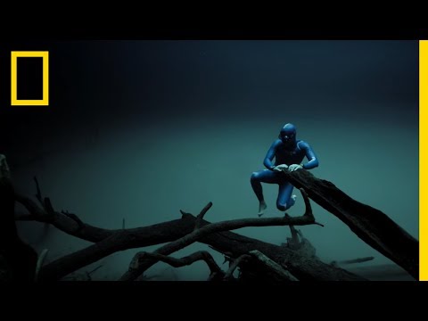 Youtube video preview image