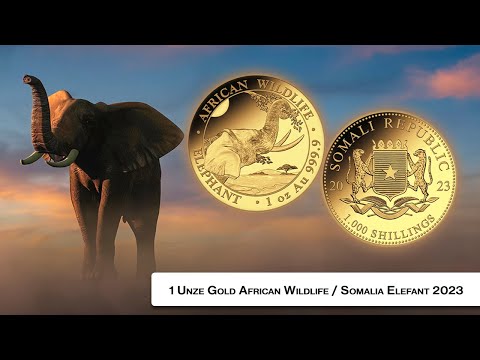 1 Unze Gold Somalia Elefant / African Wildlife 2023