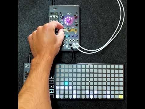 OXI Instruments Coral | モジュラーシンセ
