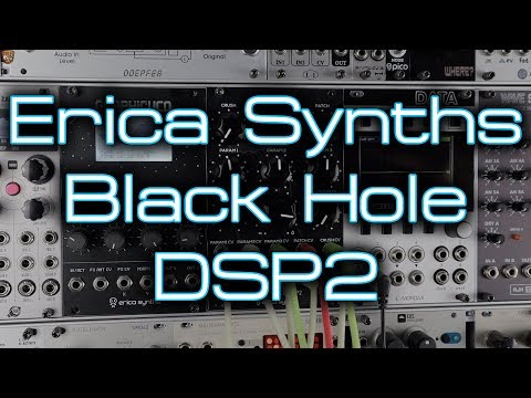 Erica Synths - Black Hole DSP 2 | Multi Effects | Effects