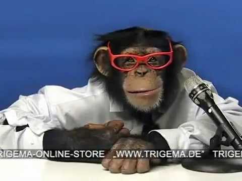 HORIZONT Film: Bubbles Affen - erstmals wirbt Trigema ohne den