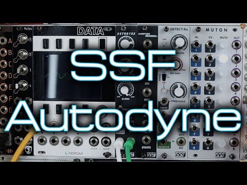 Steady State Fate (SSF) - Autodyne | Dynamics & EQ | Effects 