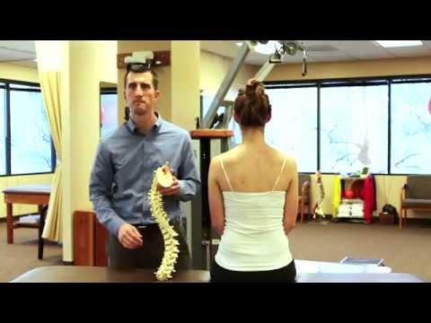 Pain 101: Mid-Back & Rib Pain  Coury & Buehler Physical Therapy