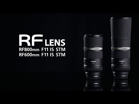 RF Lenses - RF800mm f/11 IS STM - Canon Singapore