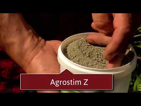 bester dünger cannabispflanze Bio-Cannabis-All-In-One-Dünger 1 Liter – Purgrün