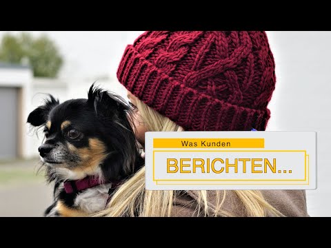 Entspannte Hundebegegnungen Mit Artgenossen Ohne Stress