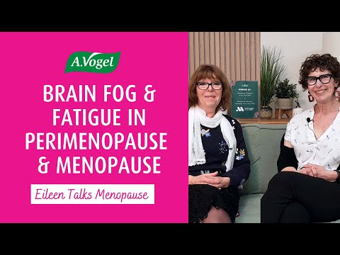 Brain Fog and Fatigue in Perimenopause and Menopause