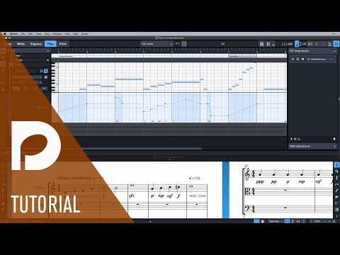 Dorico 3.1 released condensing changes dynamics lane lines and