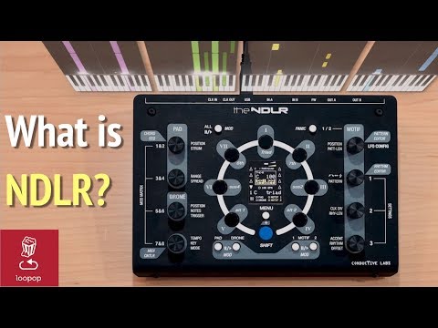 Conductive Labs - NDLR | MIDI-Sequenzer | Sequenzer 