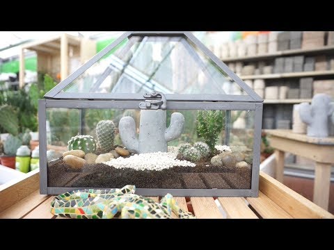 sprechender kaktus deutschland Tanzender und sprechender Kaktus mit Musik und bunten LEDs, wiederaufl   InnovaGoods Store