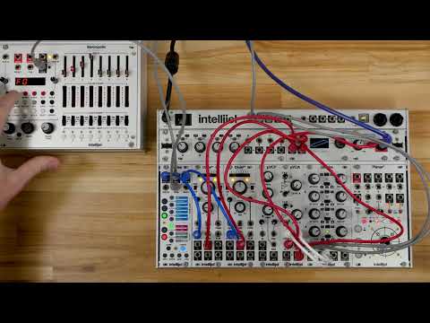 Intellijel Designs - Scales | Quantizers & Harmony Processors | CV 