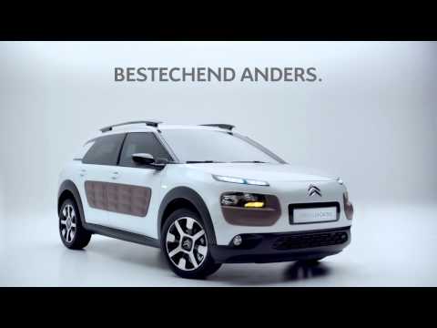 Spot Premiere Citroen Zelebriert Den Launch Des Kleinen Bunten Cactus