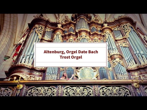 FELIX FRIEDRICH DIE TROST-ORGEL IN DER SCHLOSSKIRCHE