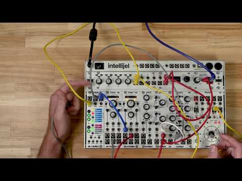 Intellijel Designs - Scales | Quantizers & Harmony Processors | CV