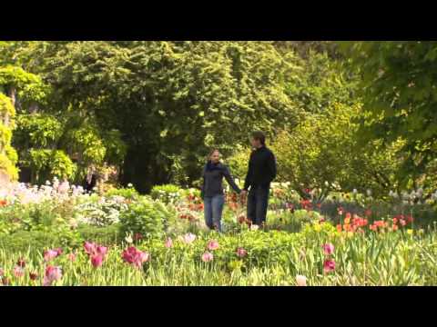 Willkommen Meyers Schwarze Garten Und Landschaftsbau