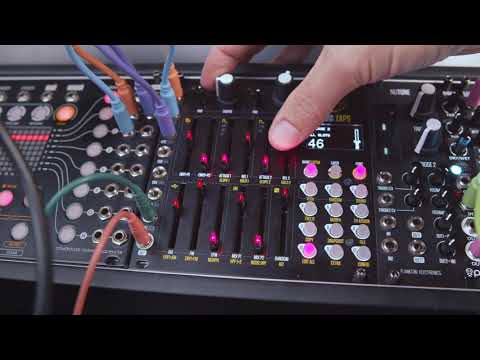 高評価の贈り物 Winter Synthesizer | Zaps - Electronics Plankton / Modular 鍵盤楽器